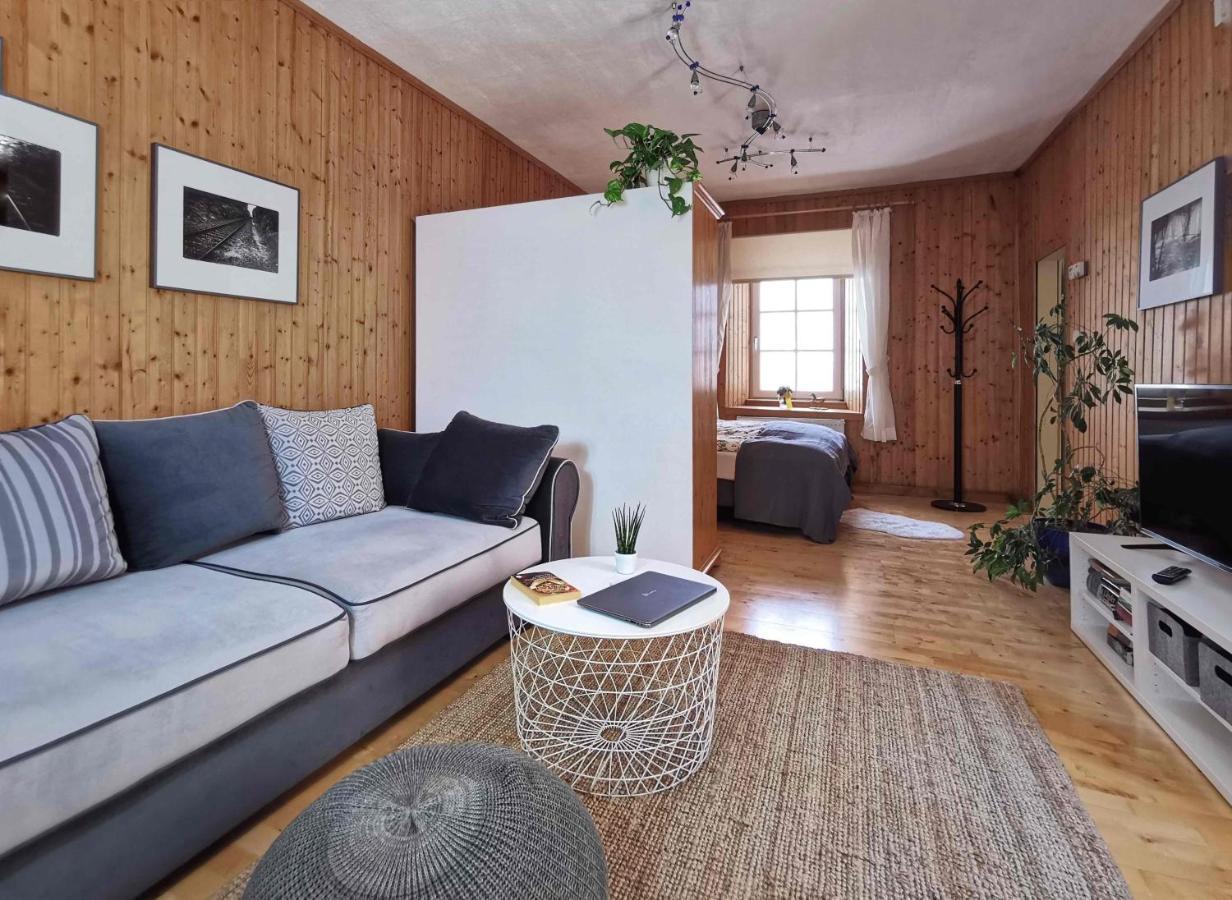 Ferienwohnung Himmelberg 80M2 In Der Altstadt Und Toll Fuer Familien Клагенфурт Екстериор снимка